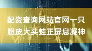 配资查询网站官网一只脆皮大头蛙正屏息凝神