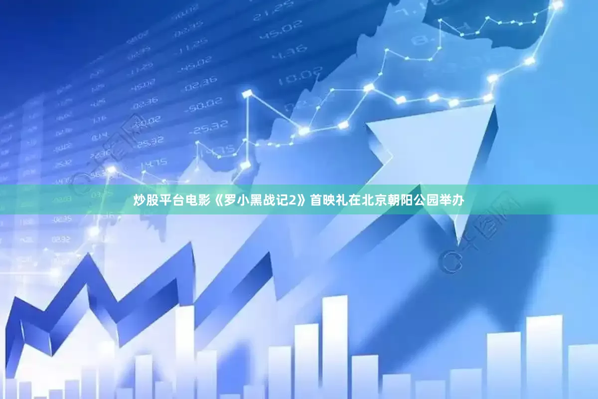炒股平台电影《罗小黑战记2》首映礼在北京朝阳公园举办