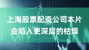 上海股票配资公司本片会陷入更深层的枯燥